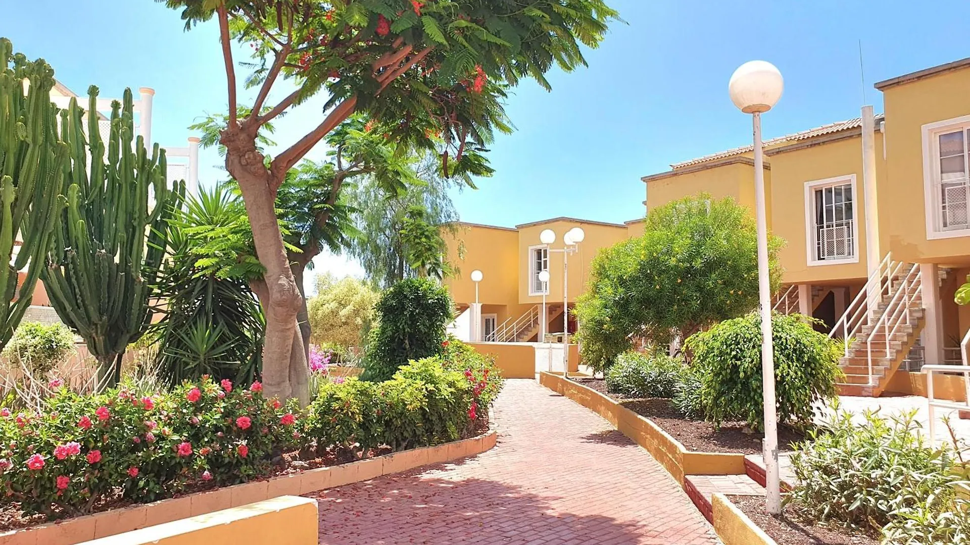 Apartment Orlando Torviscas Bajo Costa Adeje