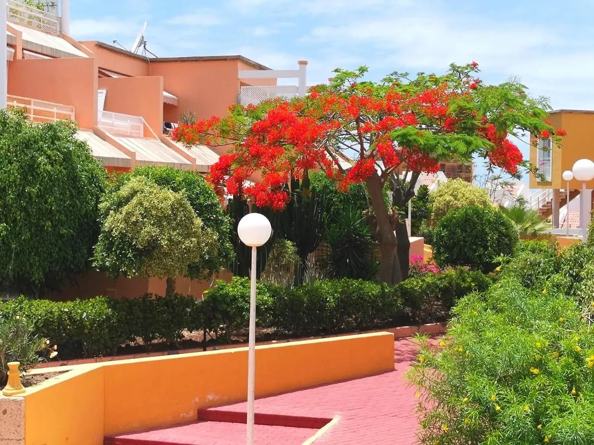 Apartment Orlando Torviscas Bajo Costa Adeje  Costa Adeje (Tenerife)