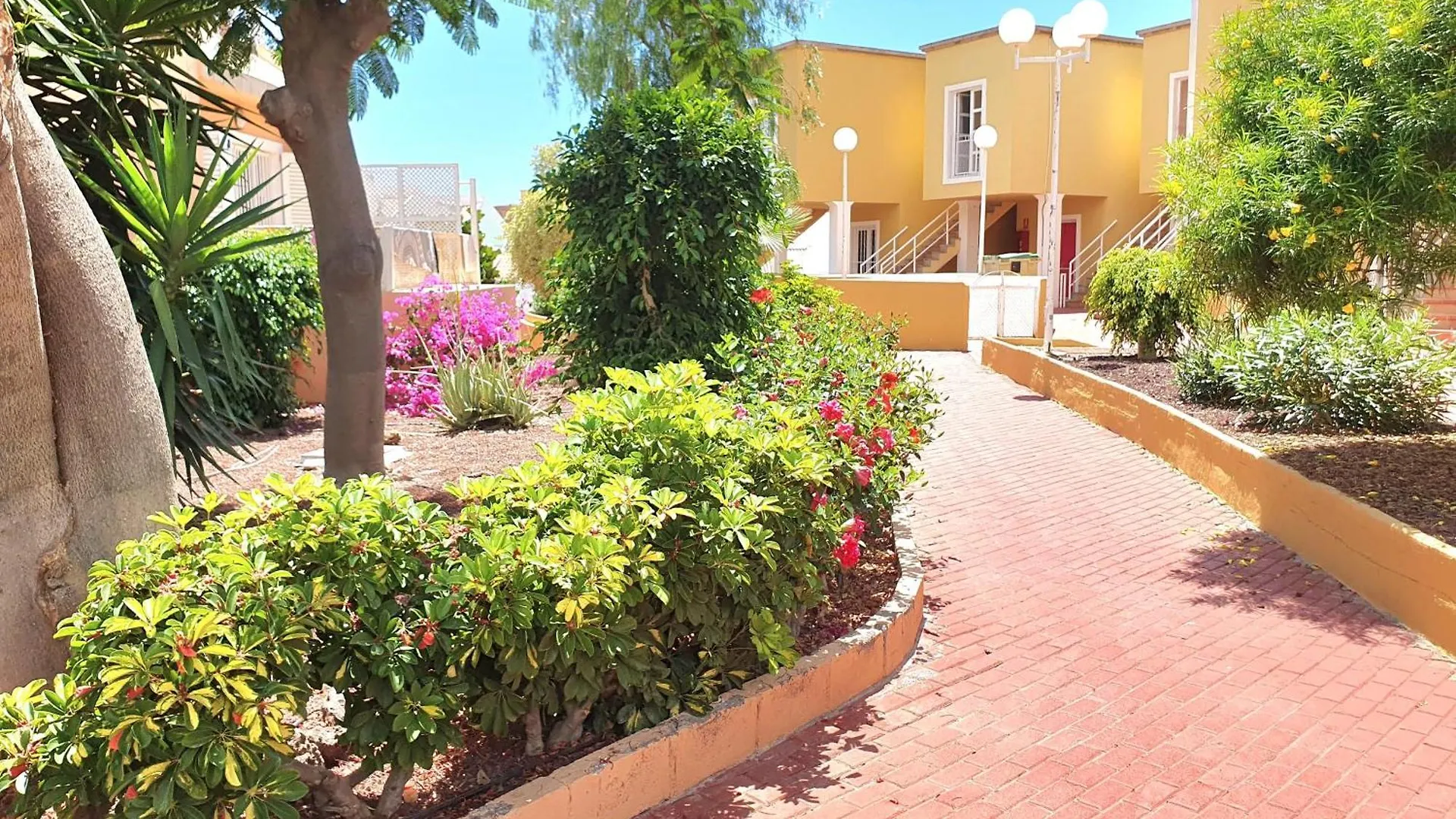 Apartment Orlando Torviscas Bajo Costa Adeje